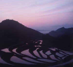 「鴨川大山千枚田」　撮影者：昼間義雄 撮影地：千葉県鴨川　撮影日：2003年3月