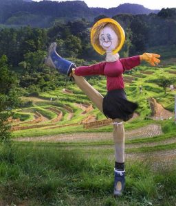 「大山千枚田2」　撮影者：坂本ジュリー　　撮影地：千葉県鴨川市大山千枚田　撮影日：2003年9月14日