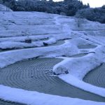 「大山千枚田」　撮影者：昼間義雄 撮影地：大山千枚田　撮影日：2002年1月
