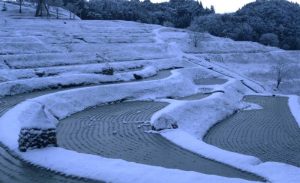 「大山千枚田」　撮影者：昼間義雄 撮影地：大山千枚田　撮影日：2002年1月