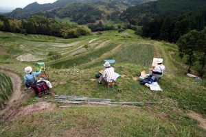 「大山千枚田1」　撮影者：村川鋼介 撮影地：千葉県鴨川大山千枚田　撮影日：2005年6月12日
