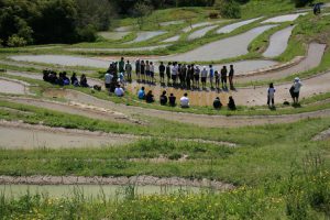 「大山千枚田」　撮影者：兼末重治 撮影地：千葉県鴨川大山千枚田　撮影日：2006年5月3日