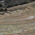 「大山千枚田」　撮影者：遠藤久仁雄 撮影地：千葉県鴨川大山千枚田　撮影日：平成21年2月19日