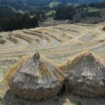 「大山千枚田」　撮影者：遠藤久仁雄 撮影地：千葉県鴨川大山千枚田　撮影日：平成21年2月19日