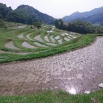 「鴨川市大山千枚田」　撮影者：遠藤久仁雄 撮影地：千葉県鴨川大山千枚田　撮影日：平成21年5月21日