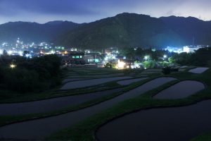 「神奈川県葉山町の棚田」　撮影者：金子美香 撮影地：神奈川県葉山町の棚田　撮影日：平成21年5月28日