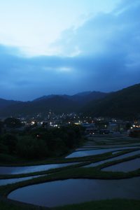 「神奈川県葉山町の棚田」　撮影者：金子美香 撮影地：神奈川県葉山町の棚田　撮影日：平成21年5月28日