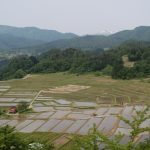 田植が進む春の「椹平の棚田」。奥に見えるは日本百名山、磐梯朝日国立公園の主峰「大朝日岳（1871ｍ）」 撮影者：岡崎国宏　撮影地：山形県朝日町 一本松公園（椹平の棚田脇）撮影日：2008.5.28