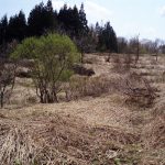 「耕作放棄田」 撮影者：高野光世　撮影地：福島県喜多方市山都町　撮影日：2013.5.5