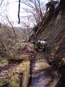 堰ざらい～喜多方市