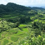 花坂（はなさか）｜　新潟県柏崎市