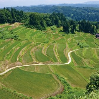 外ノ沢