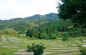 大山千枚田