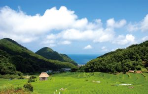 石部棚田