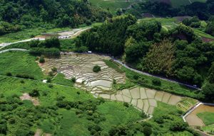 上倉沢の棚田