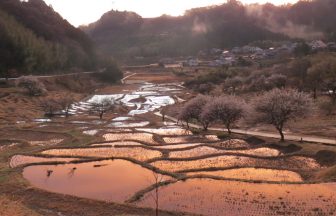 上倉沢の棚田