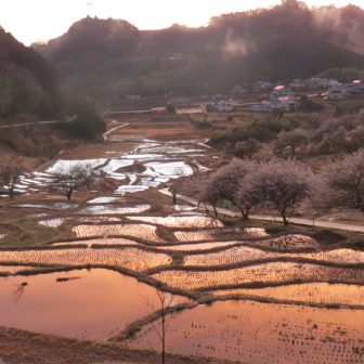 上倉沢の棚田