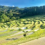 大山千枚田