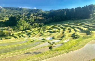 大山千枚田