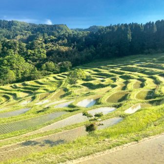 大山千枚田