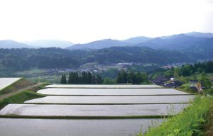 三乗の棚田