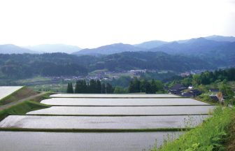 三乗の棚田