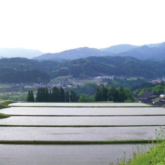 三乗の棚田