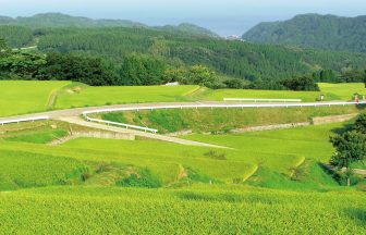 長坂の棚田