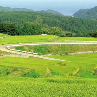長坂の棚田