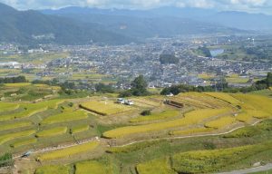 姨捨の棚田