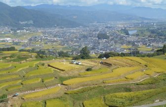 姨捨の棚田