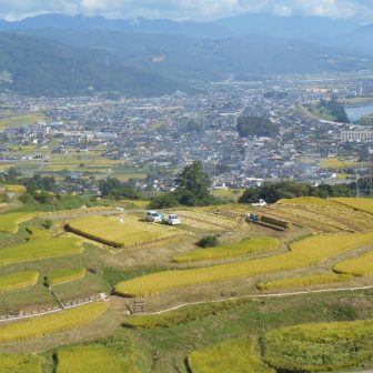 姨捨の棚田
