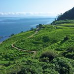 白米千枚田（しろよね）｜　石川県輪島市
