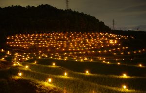 稲倉の棚田