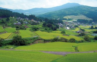 坂折棚田
