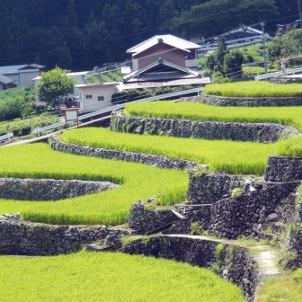 深野のだんだん田