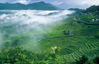丸山千枚田
