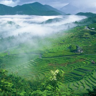 丸山千枚田