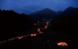 四谷の千枚田