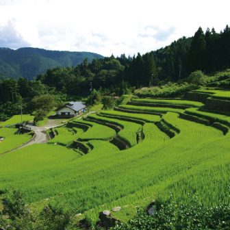 神在居千枚田