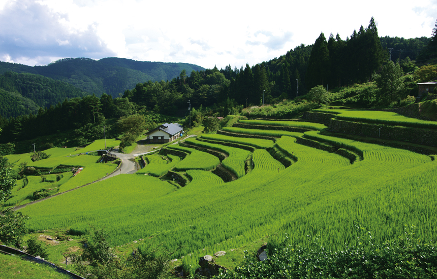 神在居千枚田