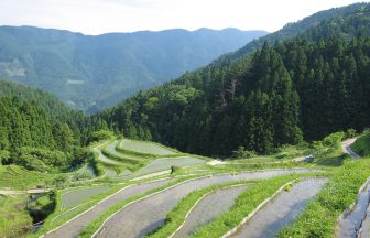 樫原の棚田