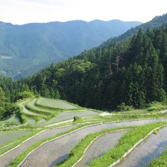 樫原の棚田