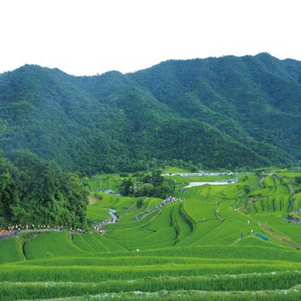 中山千枚田