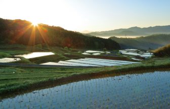 山王時の棚田