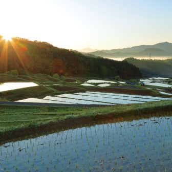 山王時の棚田