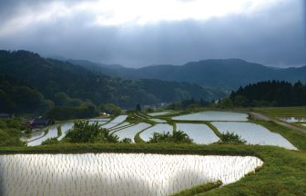 横尾棚田