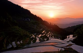 泉谷棚田
