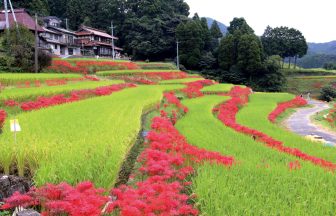 江里山の棚田
