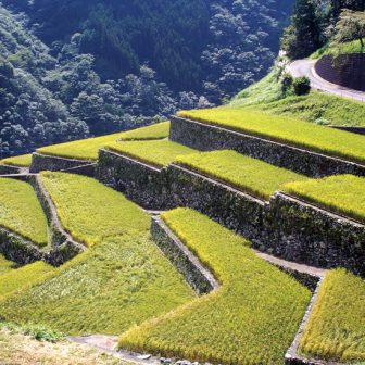 石垣の村　棚田